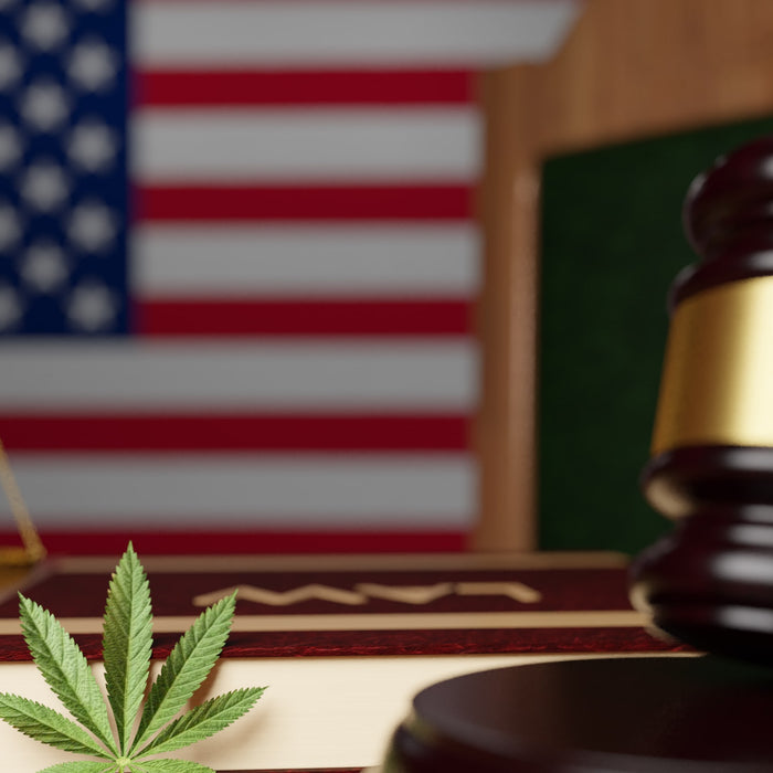 WHICH STATES MIGHT LEGALIZE NEXT?
