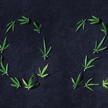 WHAT DOES 2021 HOLD FOR THE INDUSTRY?