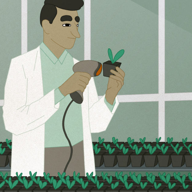 Legal Cannabis Industry Set To Bring In 92$ Billion in 2021