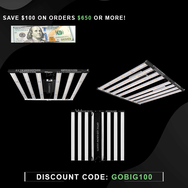 Go big 100 Sale Going on Now! Get $100 off your order