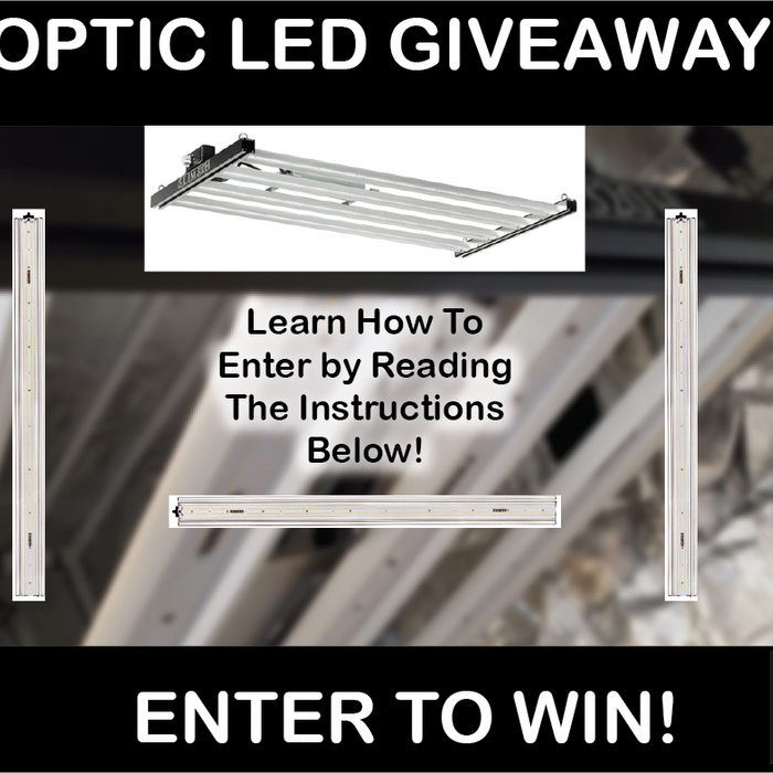 Only A Few Days Left To Enter Slim Series Led Grow Light GIVEAWAY