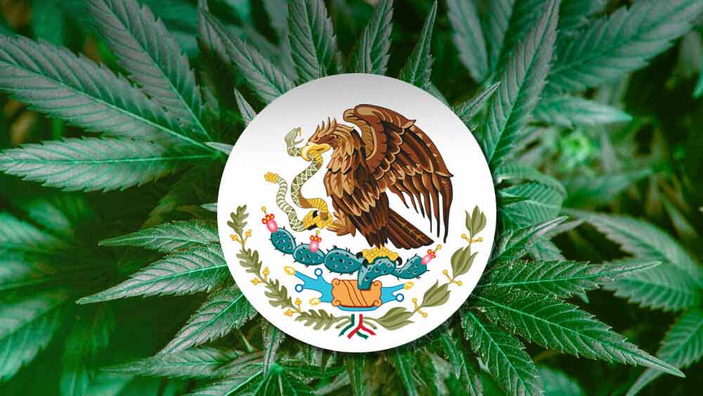 Mexico Will Soon See Legalization!