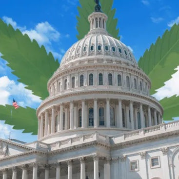 House Reintroduces SAFE Banking Act For Cannabis Industry