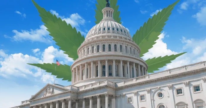 House Reintroduces SAFE Banking Act For Cannabis Industry