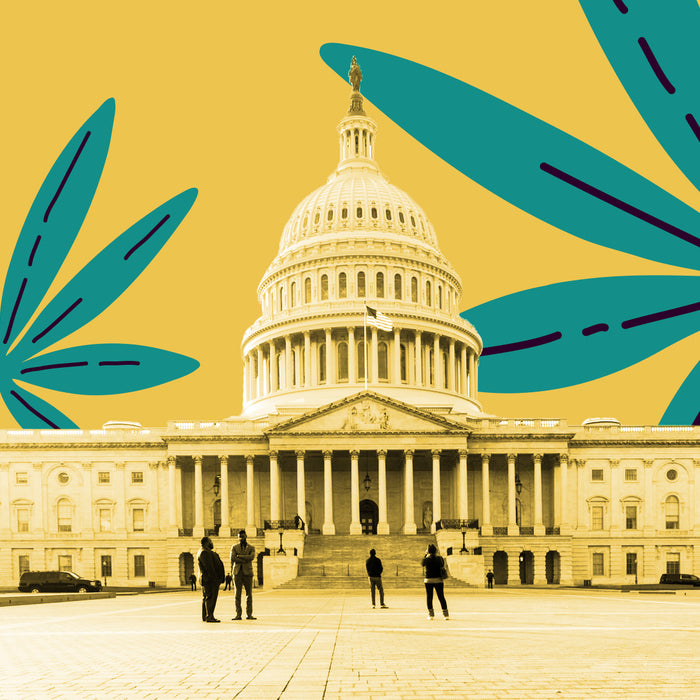 Companies Start To Eye Up USA For Legalization