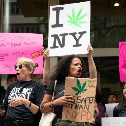 Adults Now Can Grow Their Own - New York State Legalizes