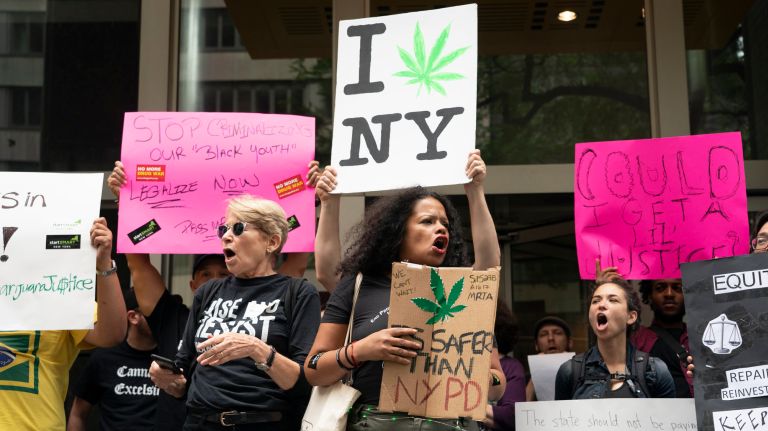 Adults Now Can Grow Their Own - New York State Legalizes