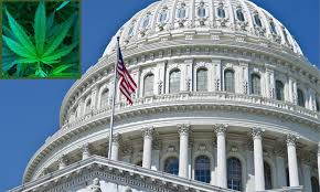 NationWide Cannabis Legalization coming in 2022