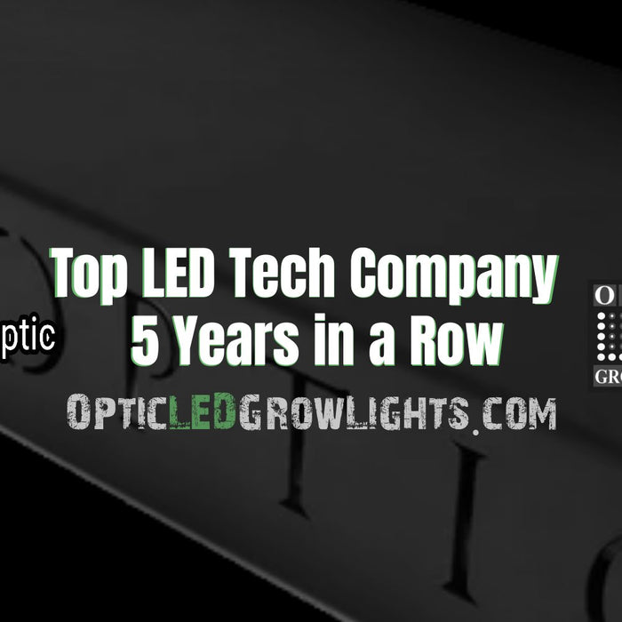 TOP LED Tech Company 5 Years in Row!