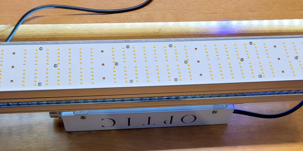 Open Box Lights — Optic LED